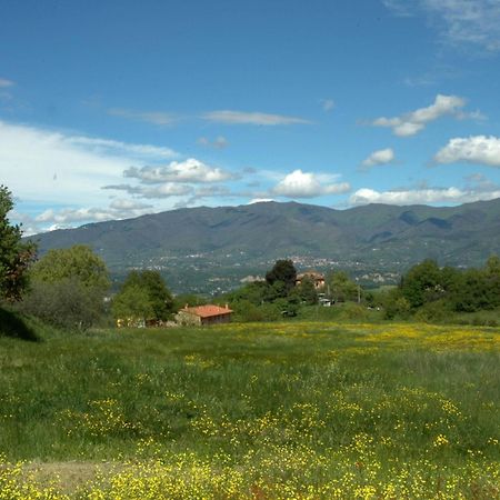 I Gelsi Casa de hóspedes Figline Valdarno Exterior foto