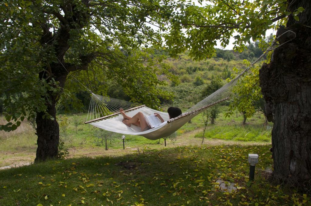 I Gelsi Casa de hóspedes Figline Valdarno Exterior foto