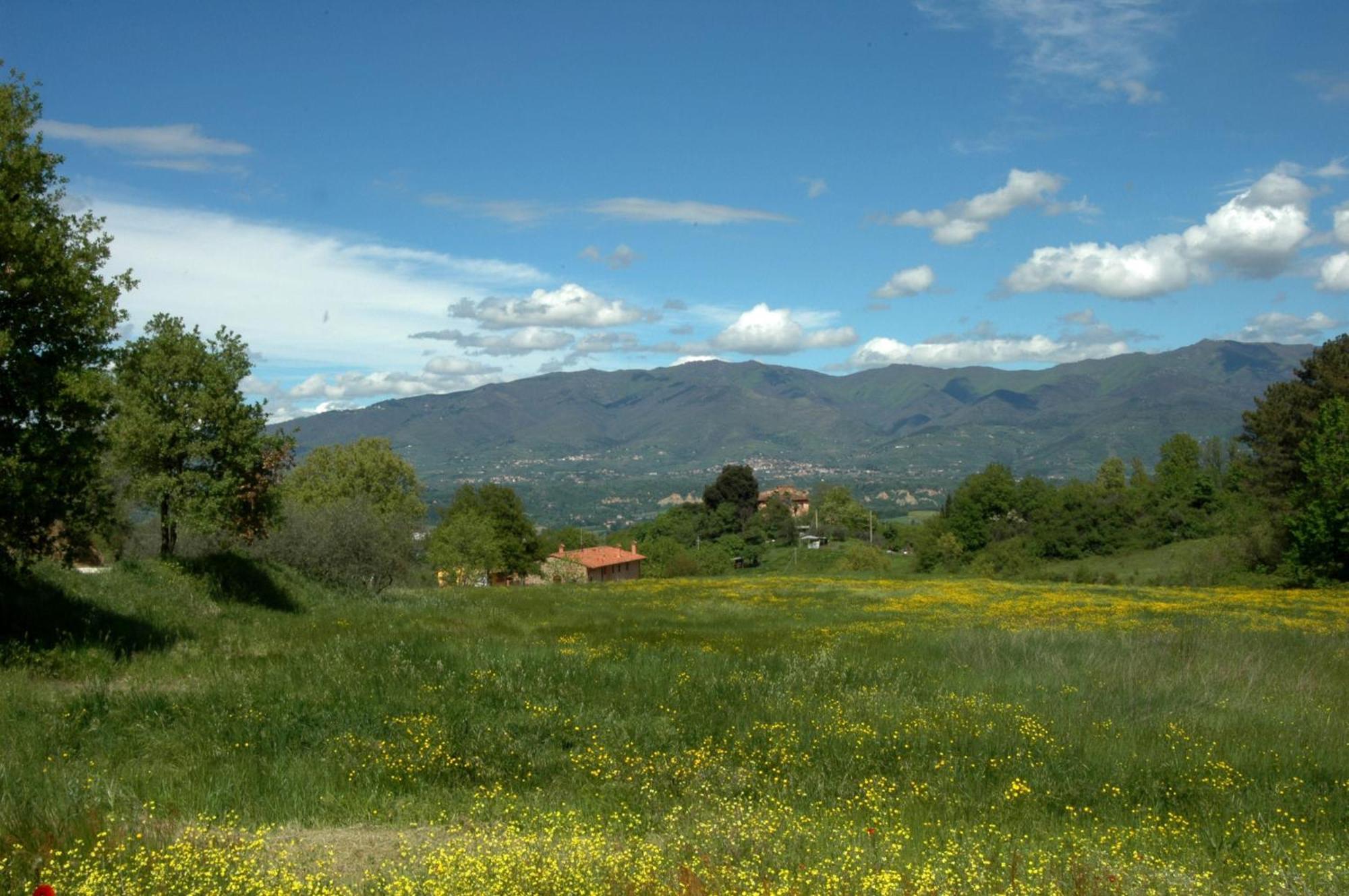 I Gelsi Casa de hóspedes Figline Valdarno Exterior foto